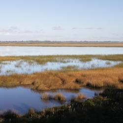 蒙特卡塞罗斯 3家带停车场的酒店
