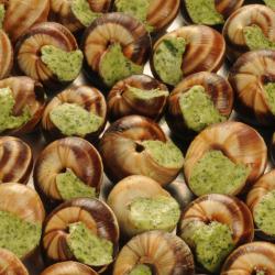 彭陶伯特 5家带停车场的酒店