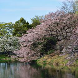 萩市 4家乡村别墅