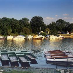 森伯里 3家宠物友好酒店