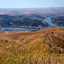 刘易斯顿 7家宠物友好酒店