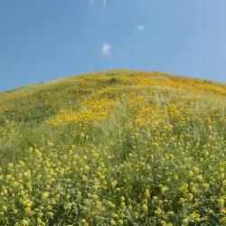 M&ouml;hlin 6家住宿