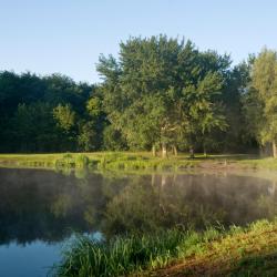 圣维斯 7家住宿