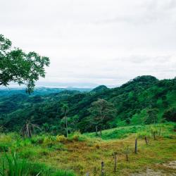 蒙泰韦尔德哥斯达黎加 23家山林小屋