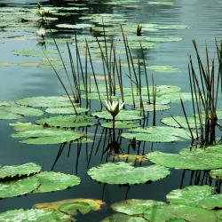 维里沙蒂隆 19家住宿