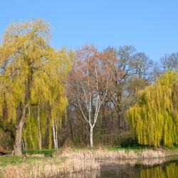 加尔德莱根 9家住宿