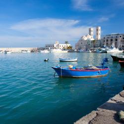 莫尔费塔 19家海滩酒店