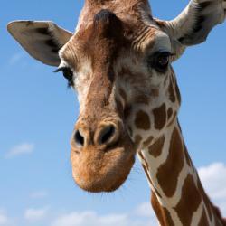 霍登哈根 13家住宿