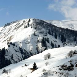 拉赫兹耶尔 66家滑雪度假村