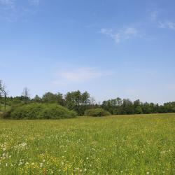 米哈沃维采 3家带停车场的酒店