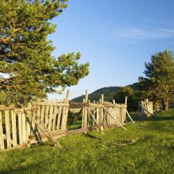 Alcorisa 3家宠物友好酒店