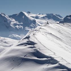 瓦勒迪泽尔 173家滑雪度假村