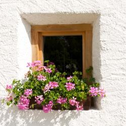 马布利 3家带泳池的酒店