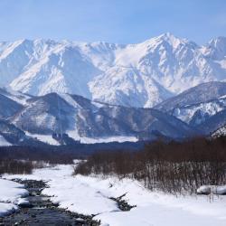 白马村