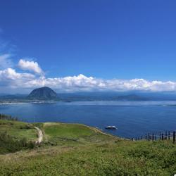 西归浦市