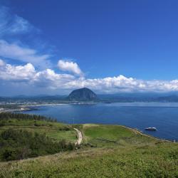 西归浦市 4家汽车旅馆