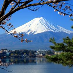富士河口湖 10家豪华帐篷