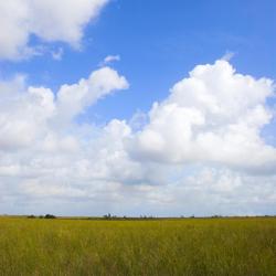 塔勒阔 7家住宿