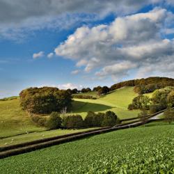 Glasbury 4家住宿加早餐旅馆