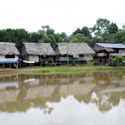 马尔多纳多港 15家山林小屋