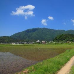 Yahiko 2家酒店