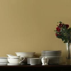 朗根塔尔 4家宠物友好酒店