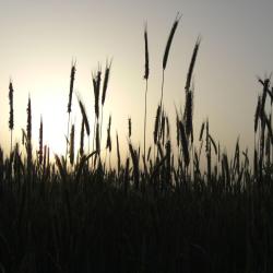 达嫩贝格 7家带停车场的酒店