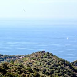 波利卡 7家宠物友好酒店