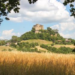 蒙蒂新堡 7家带停车场的酒店