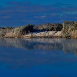 讷维克 4家木屋