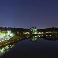 高阳市
