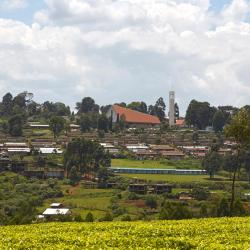 Kericho 3家住宿加早餐旅馆