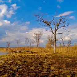 弗拉敦根 21家住宿