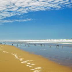 Mejia 3家带停车场的酒店