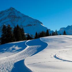 Lauenen 6家乡村别墅