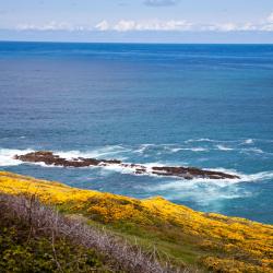 里贝拉 72家自助式住宿