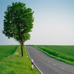 吕肖 7家带停车场的酒店