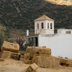 特雷韦莱斯 13家公寓