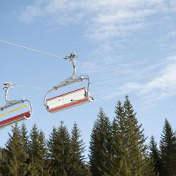 比希尔巴赫 49家滑雪度假村