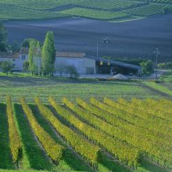 沙托贝尔纳尔 9家住宿