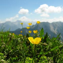 雷丹尼茨恩 7家公寓