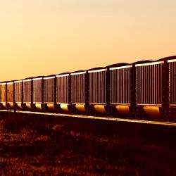 诺福克 4家宠物友好酒店