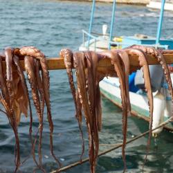 Kam&aacute;res 5家带停车场的酒店