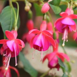 维德宁 36家带停车场的酒店