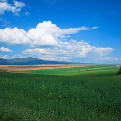 Závažná Poruba 3家住宿加早餐旅馆