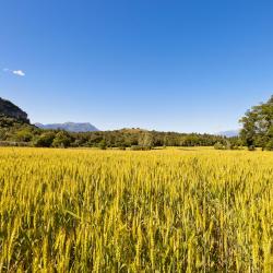 菲奥伦佐拉达尔达 13家带停车场的酒店