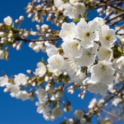 豪岑贝格 21家带泳池的酒店