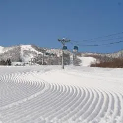 富良野 182家滑雪度假村