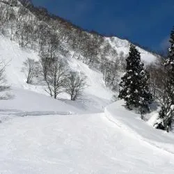 汤泽町 83家滑雪度假村
