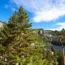 科瓦莱达 5家带停车场的酒店